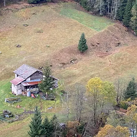 شقة Valtellina. Relax Nel Cuore Delle Alpi *