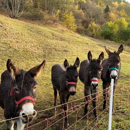 شقة Valtellina. Relax Nel Cuore Delle Alpi