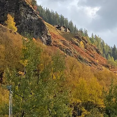 Valtellina. Relax Nel Cuore Delle Alpi Apartament Grosio