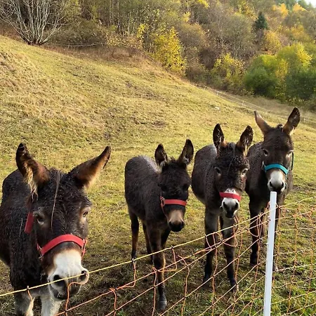 Valtellina -relax Nel Cuore Delle Alpi-